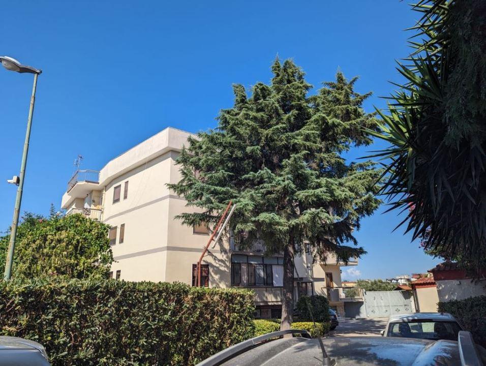 Vendita Trivani, Torre Annunziata foto