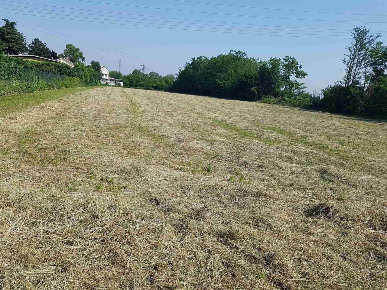 Vendita Altri immobili, Cologno Monzese foto
