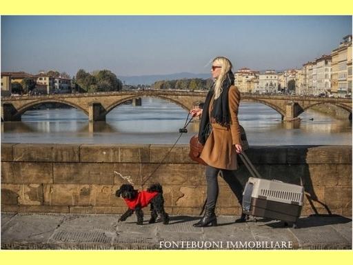 Affitto COMMERCIALE, Firenze foto