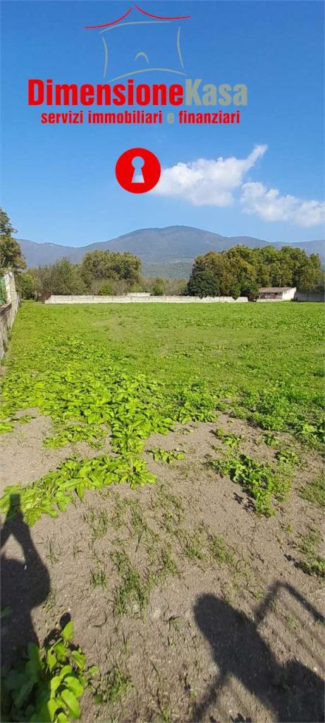 Vendita vendita, Cicciano foto