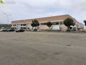 Vendita vendita, Casalgrande Vendita vendita, Casalgrande