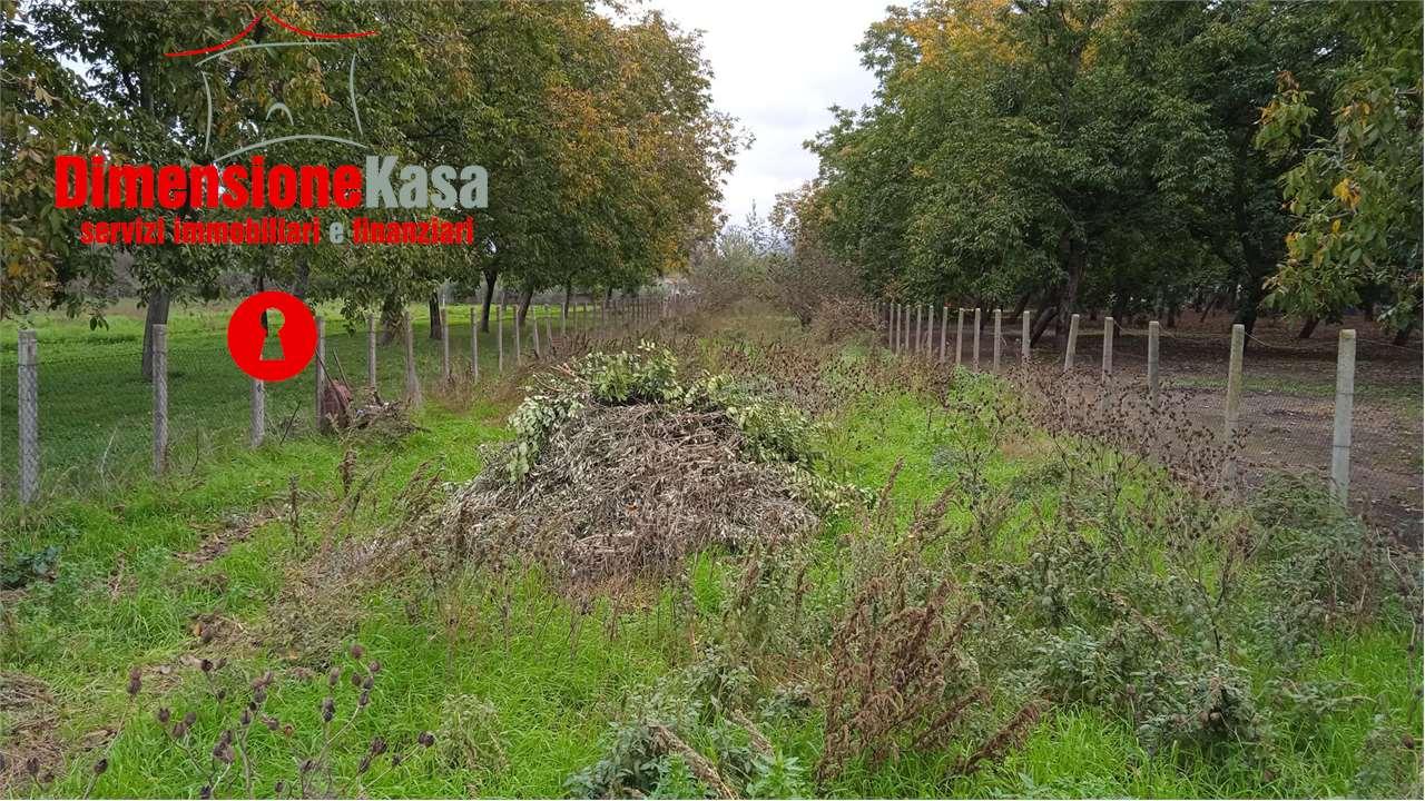 Vendita vendita, Cimitile foto