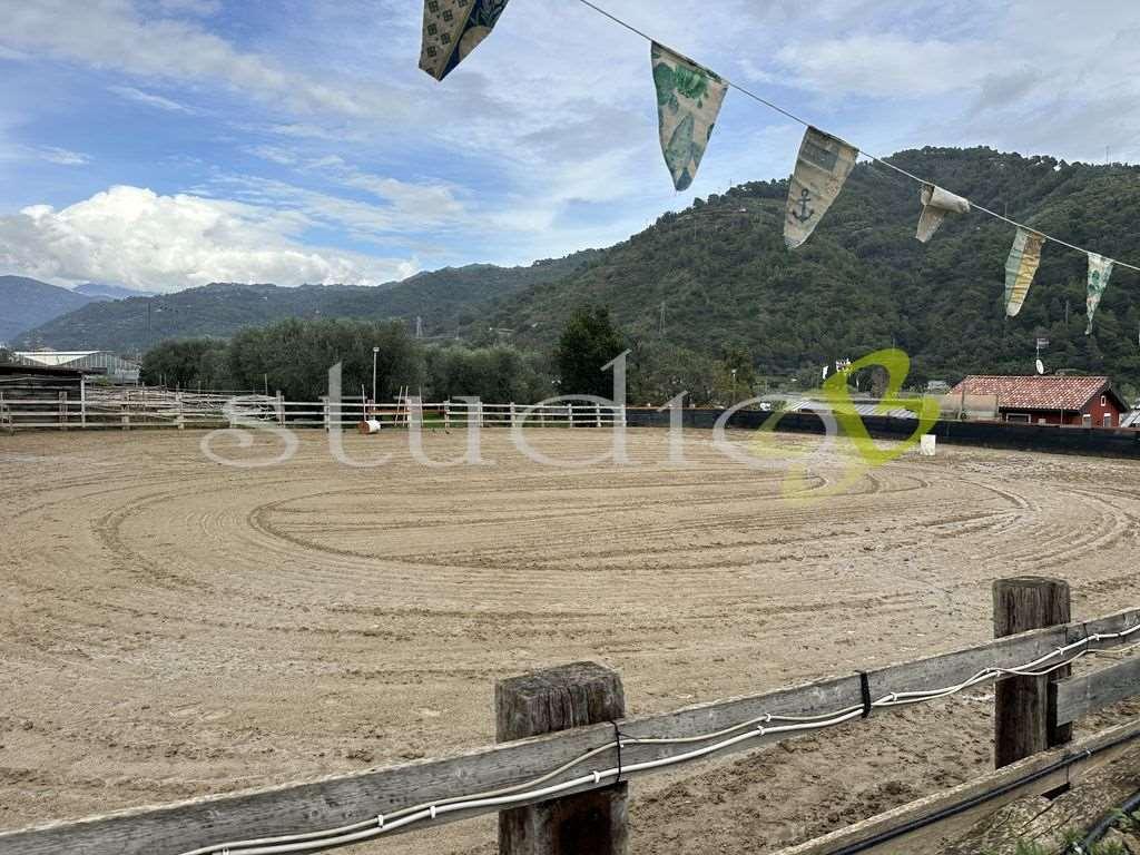 Vendita vendita, Camporosso foto