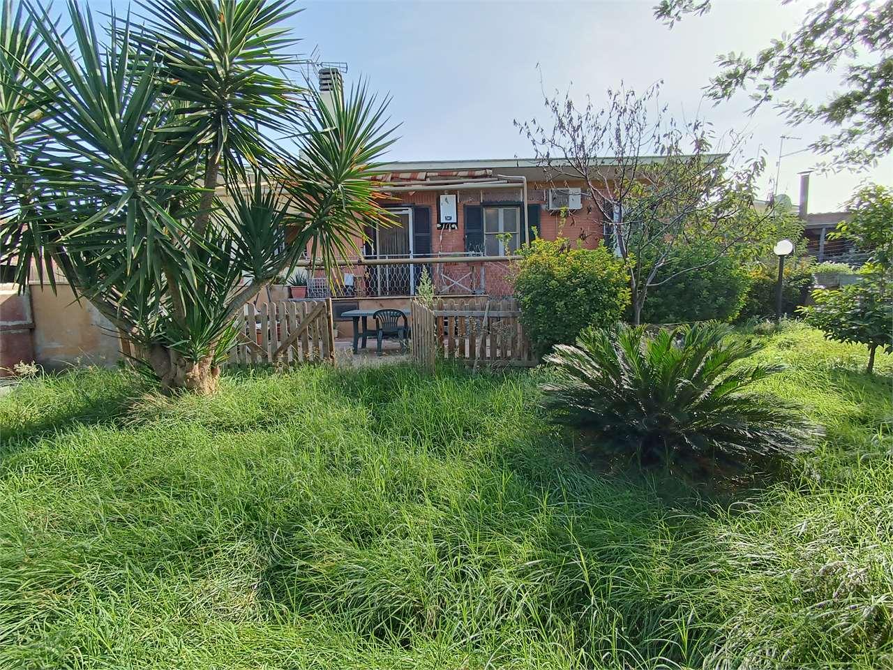 Vendita vendita, Zagarolo Vendita vendita, Zagarolo foto