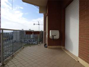 Affitto affitto, Frosinone