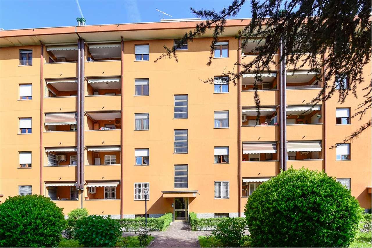 Vendita vendita, Paderno Dugnano foto