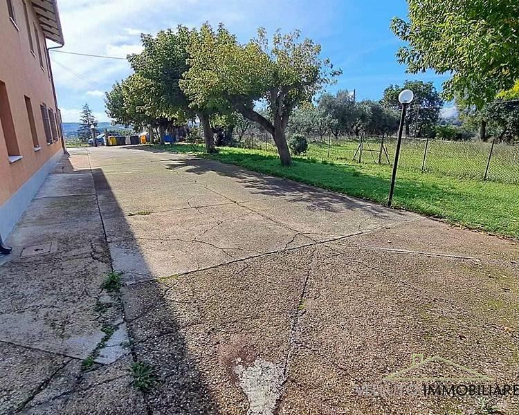 Vendita Appartamento, Senigallia foto