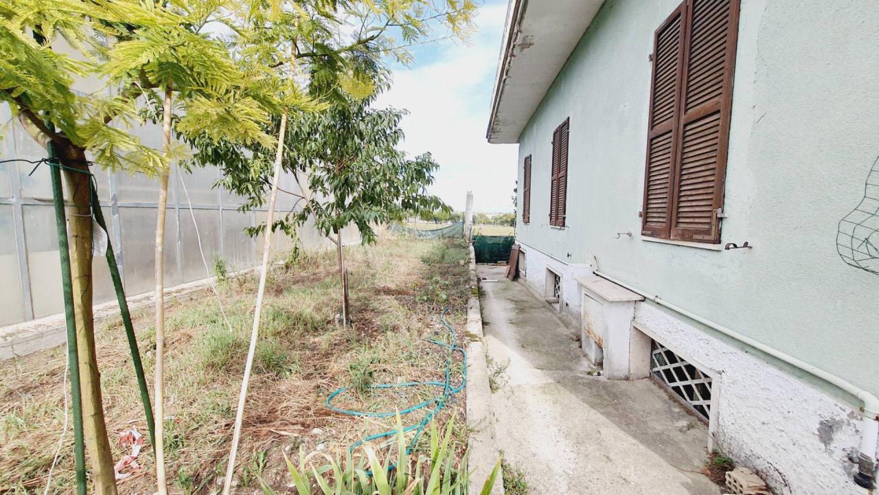 Vendita Casa indipendente, Monsampolo del Tronto foto
