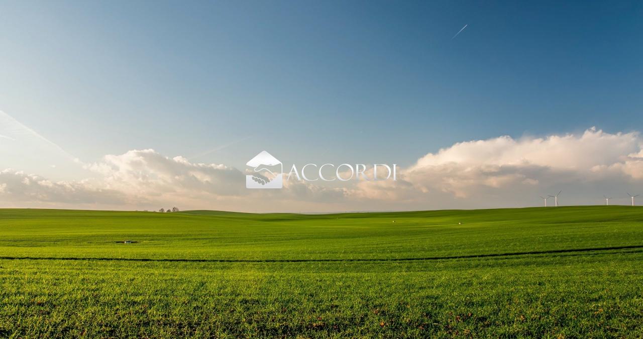 Vendita Case, Montebelluna Vendita Case, Montebelluna foto