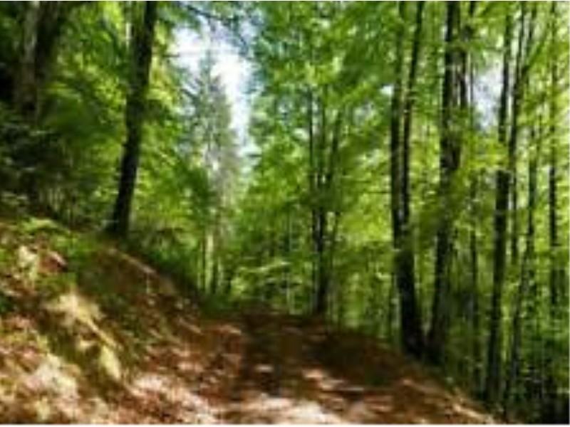mansarda in vendita a Perugia in zona Montelaguardia