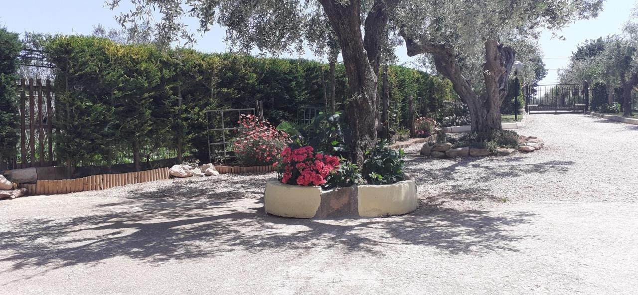 Vendita Multivani, Chieti foto