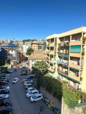 Vendita Quadrivani, Genova Vendita Quadrivani, Genova