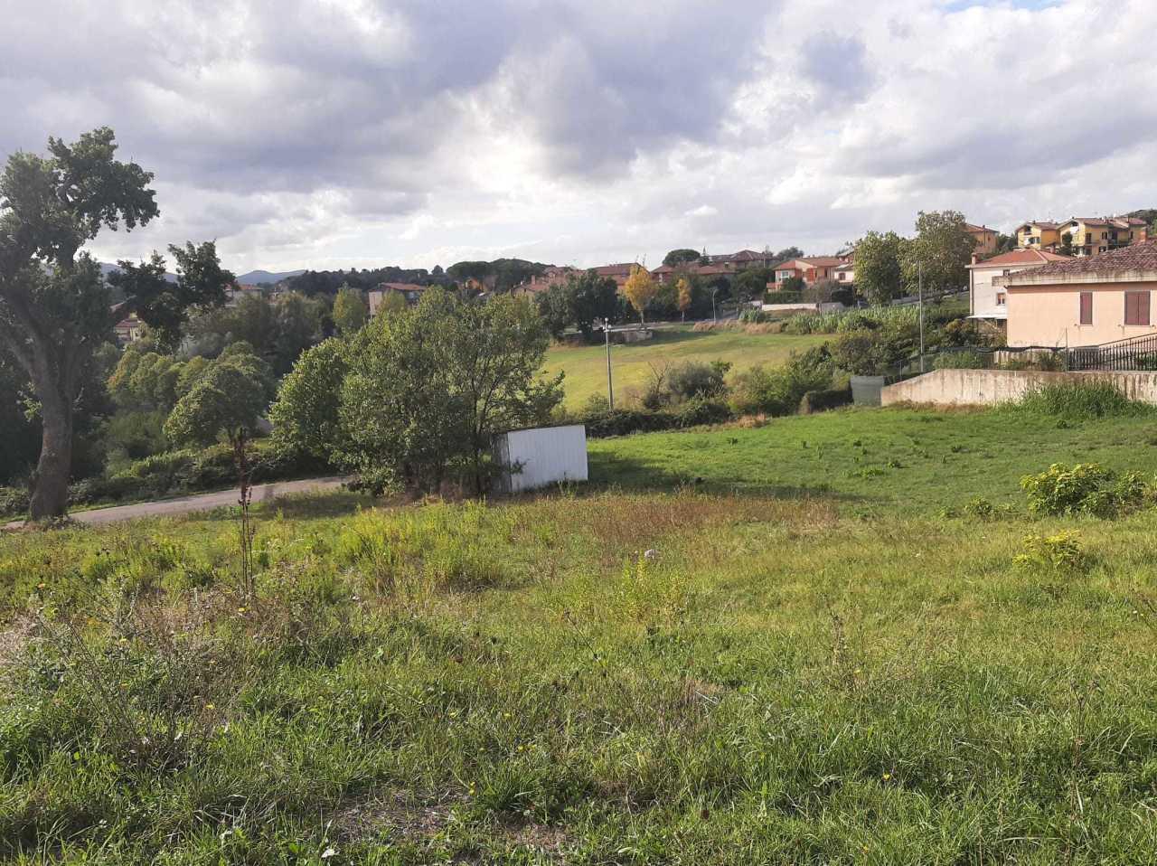 Vendita Terreni, Montecastrilli foto