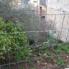 Vendita Terreni, Canicattini Bagni