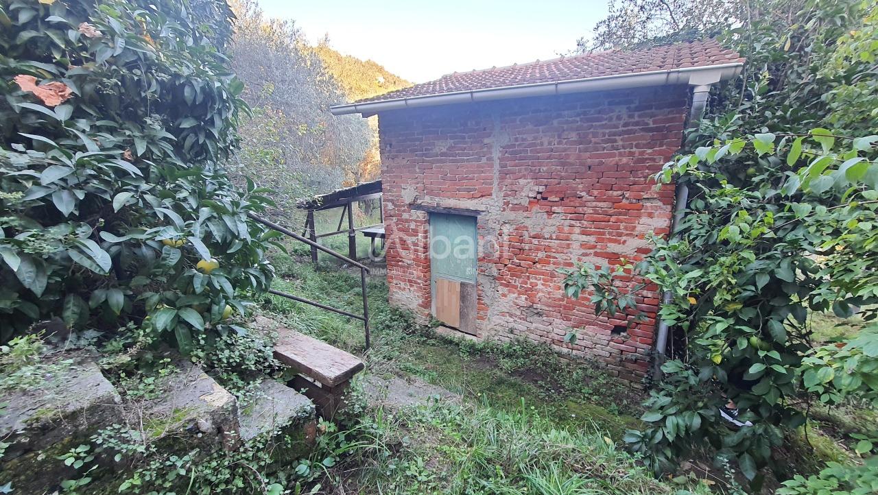 Vendita Uliveto, La Spezia foto