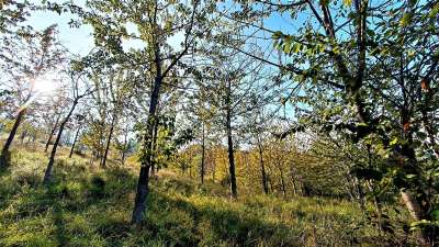 Vendita Rustico, Massignano Vendita Rustico, Massignano
