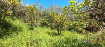Vendita Terreno, Barcellona Pozzo di Gotto Vendita Terreno, Barcellona Pozzo di Gotto