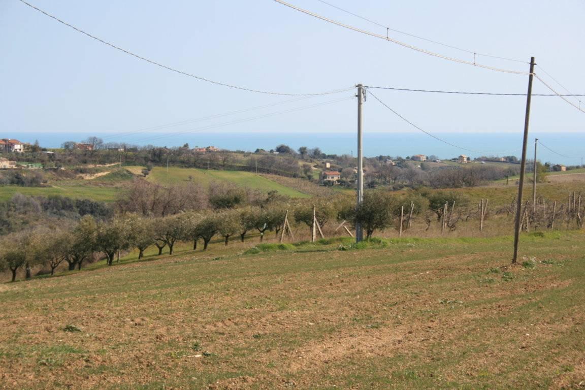 Vendita Terreno, Massignano foto