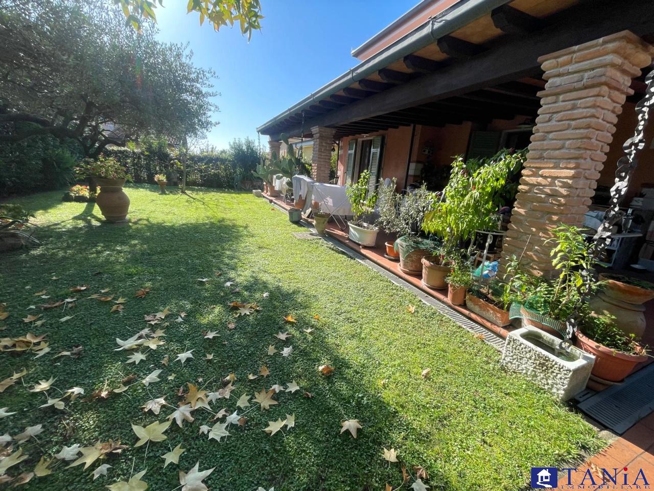 Vendita Multivani, Carrara foto