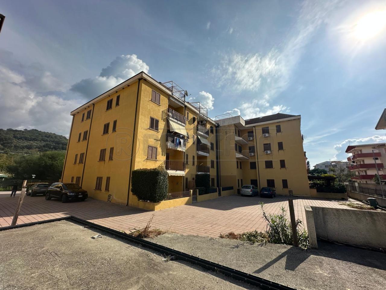 Vendita Trivani, Nocera Terinese foto