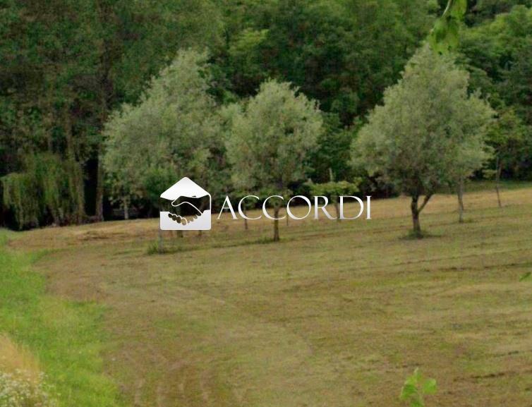 Vendita Case, Conegliano foto