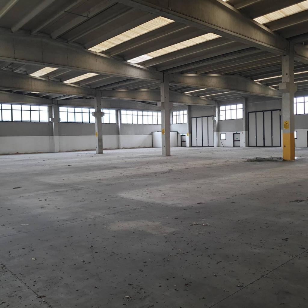 Vendita Capannone , Maleo Vendita Capannone , Maleo foto