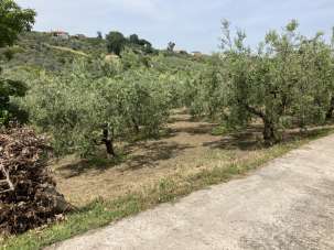 Vendita Terreno, Vasto Vendita Terreno, Vasto