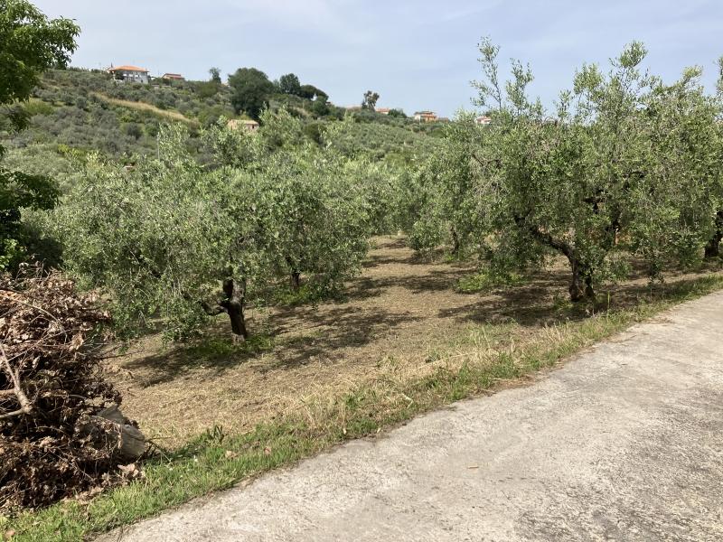 Vendita Terreno, Vasto foto