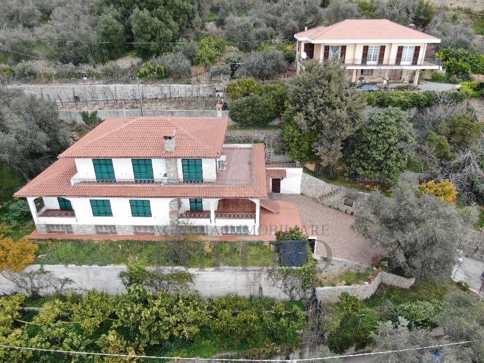 Vendita Multivani, Ventimiglia foto
