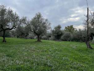 Vendita Monovano, Pianella