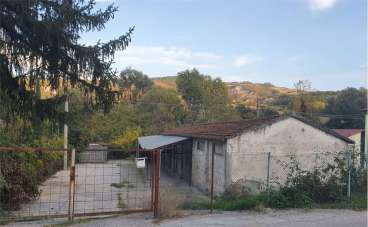 Vendita vendita, Predappio