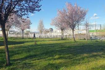 Vendita Appartamento, Milano