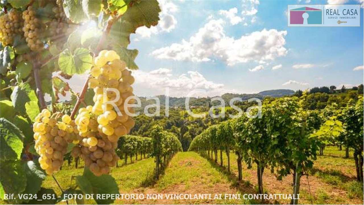 Vendita vendita, Casalgrande foto