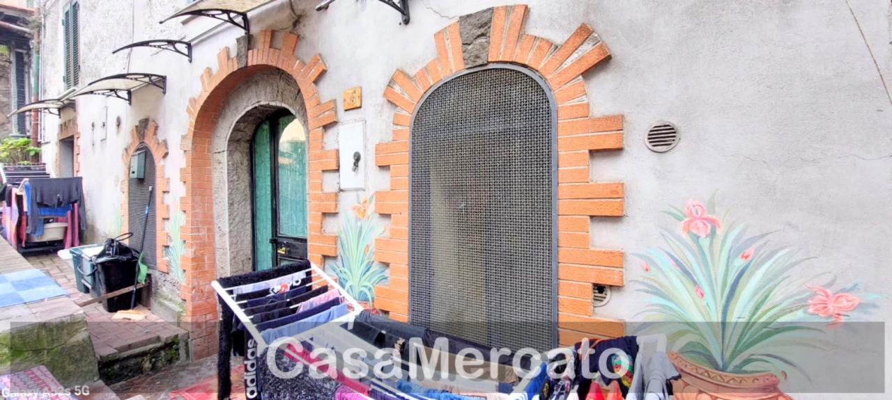 Vendita Trivani, Rocca di Papa foto