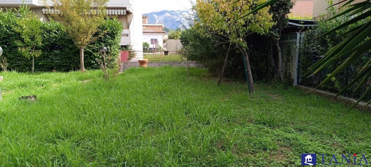 Vendita Esavani, Carrara foto