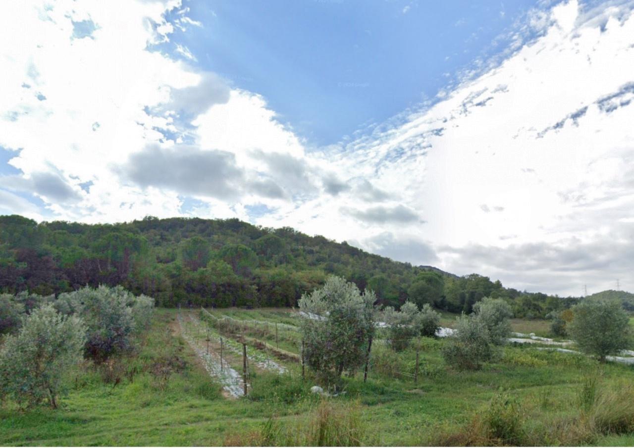 Vendita Altri immobili, Gavorrano foto