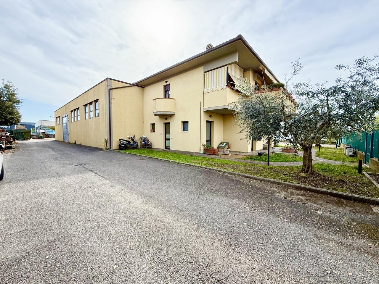 Vendita Casa indipendente, Grosseto foto