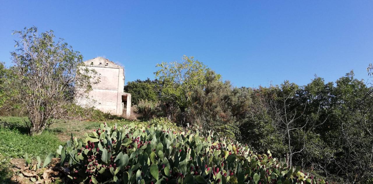 Vendita Rustico, Monteodorisio foto