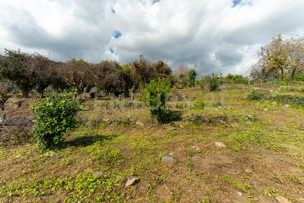 Vendita Terreni, Giarre foto