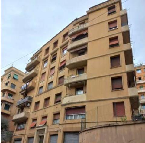 Vendita Quadrivani, Genova foto