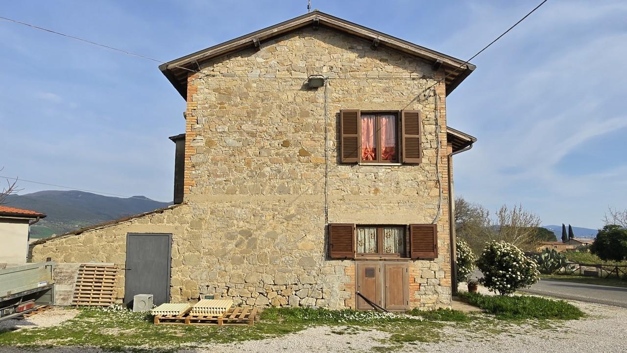 Vendita Pentavani, Baschi foto