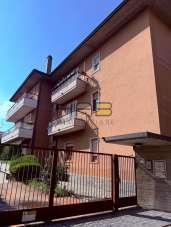Vendita Quadrivani, Busto Arsizio Vendita Quadrivani, Busto Arsizio