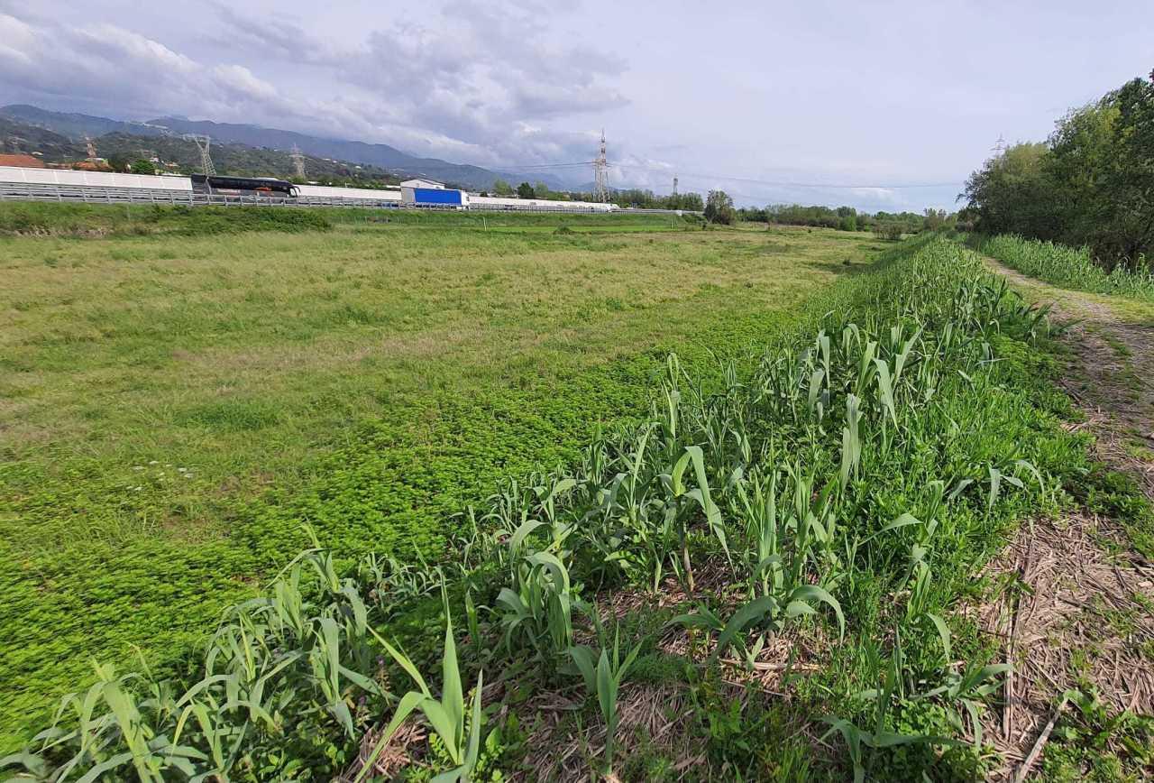 Vendita Terreni, Santo Stefano di Magra foto