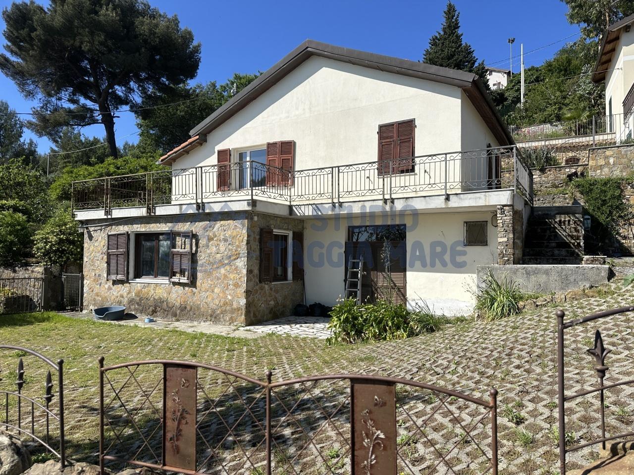 Sale Esavani, Cipressa foto