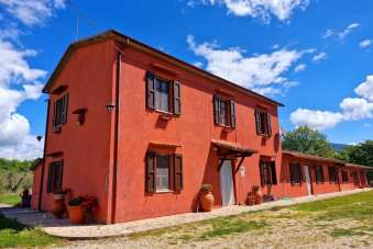 Vendita Multivani, Montecchio Vendita Multivani, Montecchio