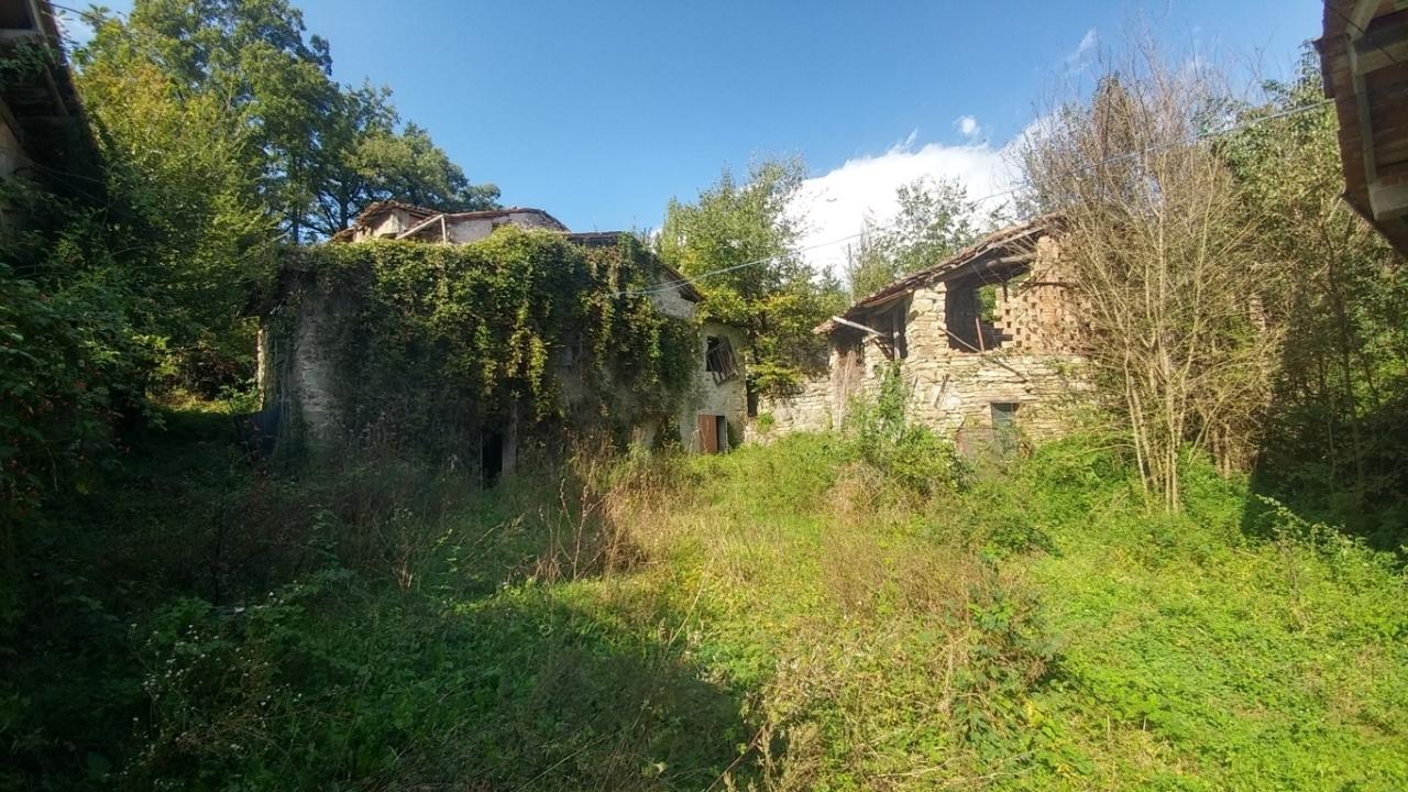 Vendita Terreni, Zocca foto