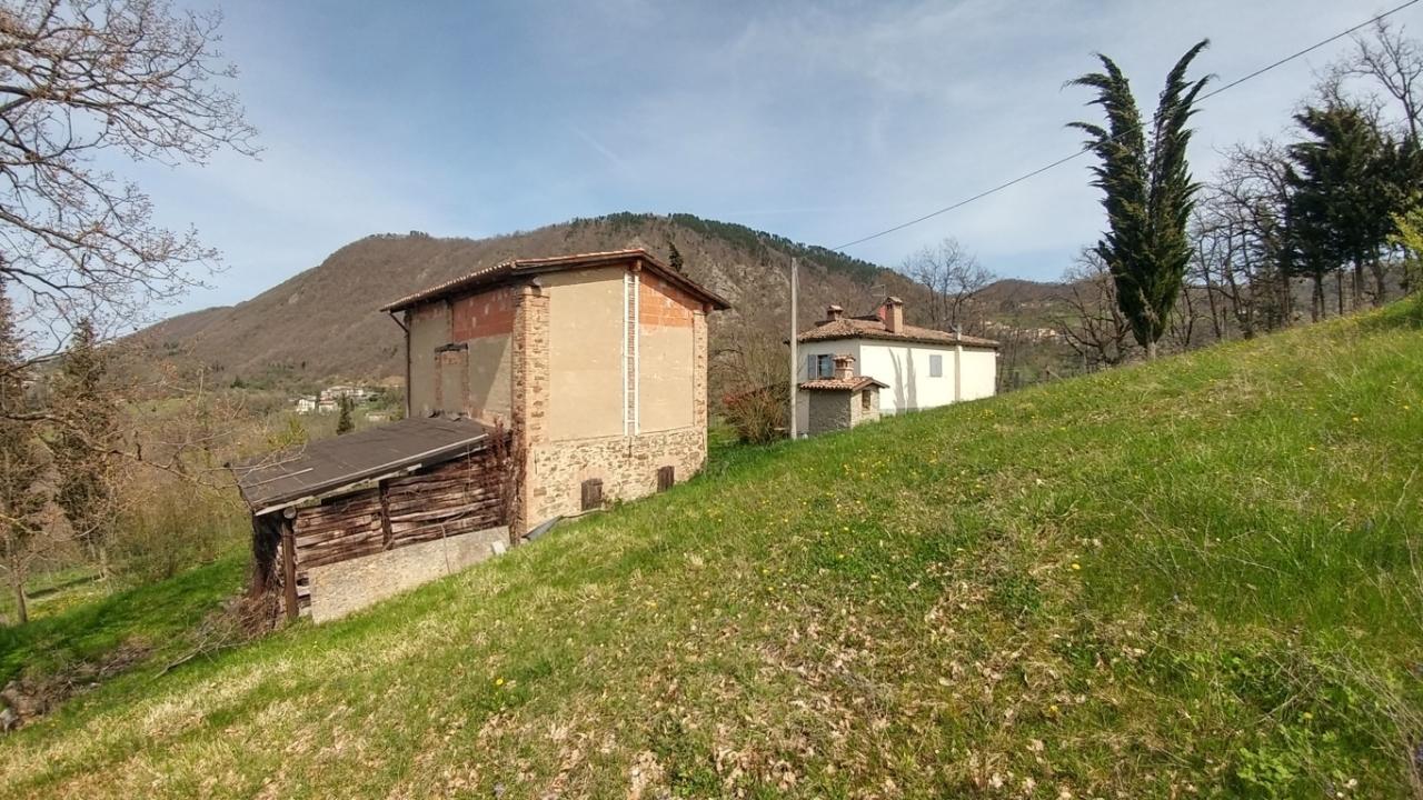 Vendita Multivani, Zocca foto