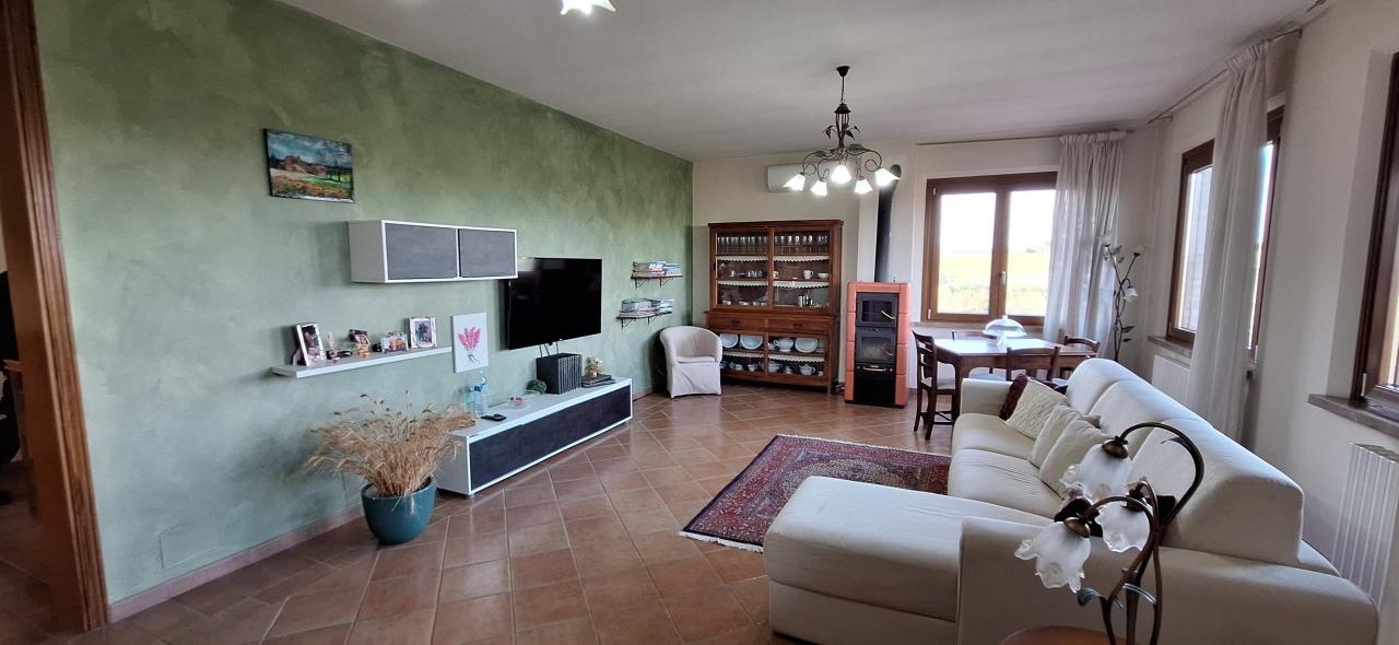 Vendita Multivani, Castelnuovo Berardenga foto