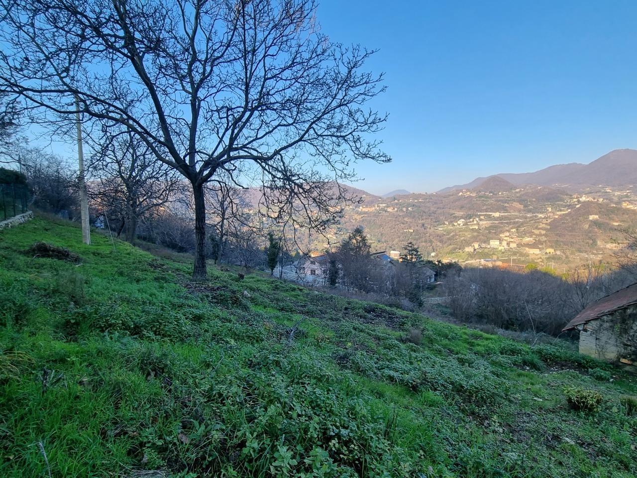 Vendita Esavani, Sant'Olcese foto