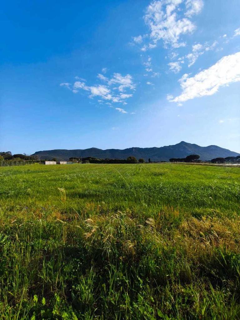 Vendita Terreni, San Felice Circeo foto